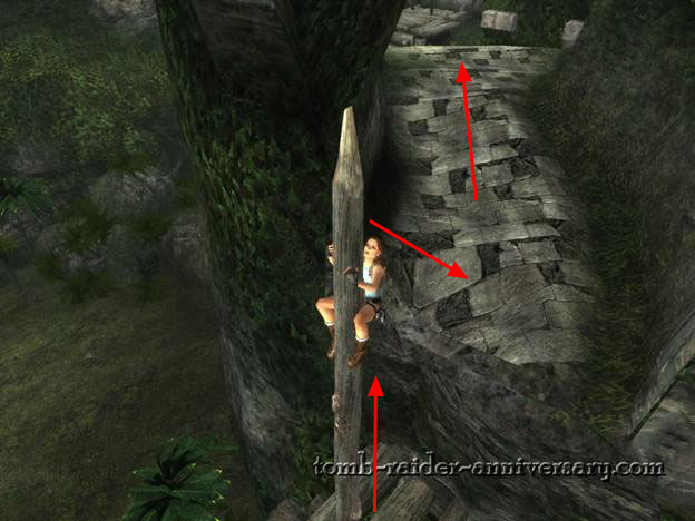 Tomb Raider Anniversary - Peru: The Lost Valley - Lara climbing a pole
