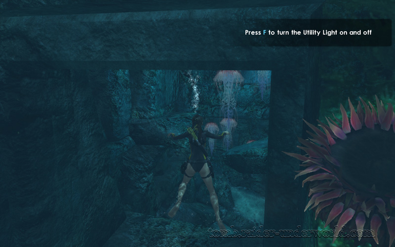 Tomb Raider Underworld walkthrough Mediterannean Sea - The Path to Avalon cavern screenshot