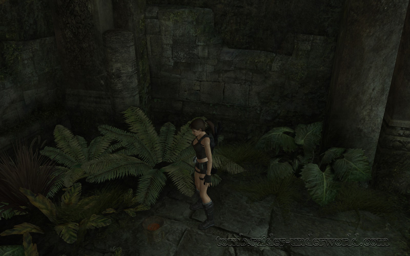 Tomb Raider Underworld walkthrough Coastal Thailand - Remnants health pack screenshot
