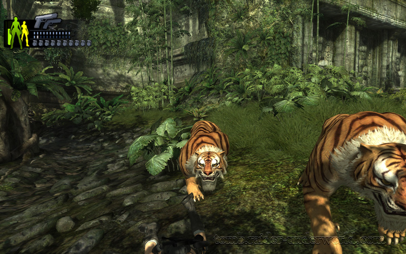 Tomb Raider Underworld walkthrough Coastal Thailand - Remnants tigers screenshot
