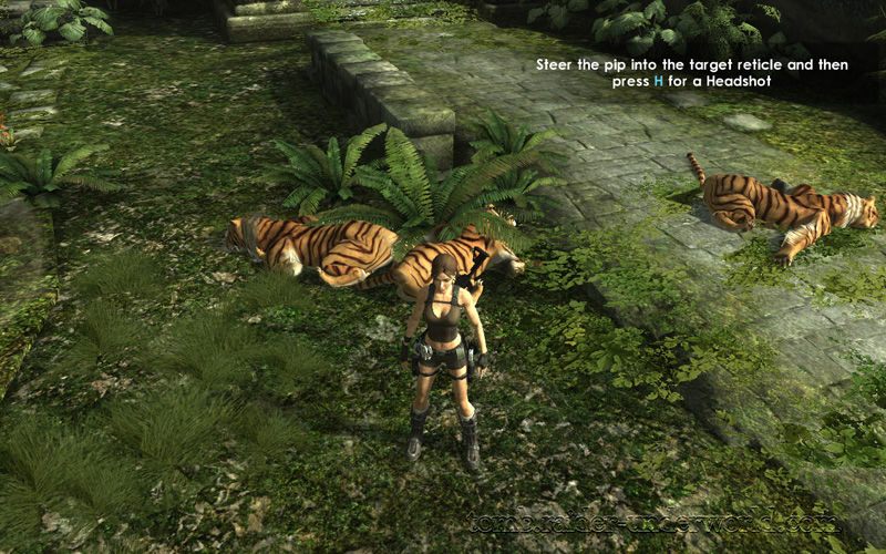 Tomb Raider Underworld walkthrough Coastal Thailand - Remnants tiger slaughter screenshot